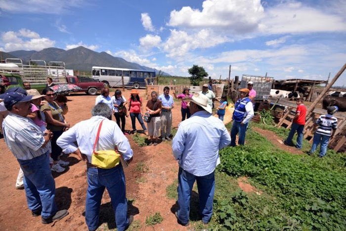 Saltillo: ¡Disfrute del campo en familia este fin de semana!