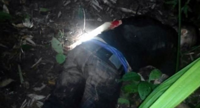 Abate la Marina a 14 en Veracruz