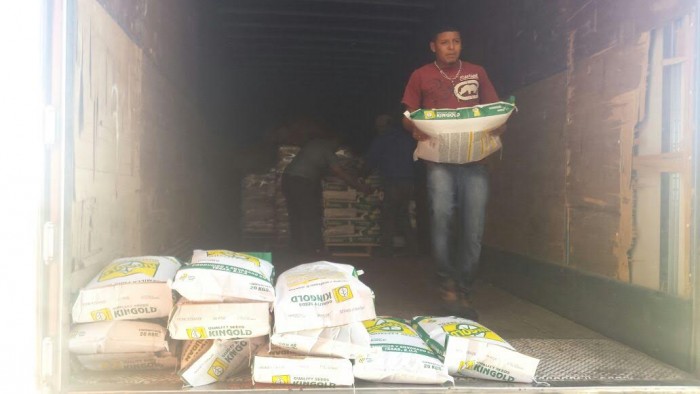 OFERTARÁN 10 TONELADAS DE SEMILLA DE SORGO FORRAJERO PARA PRODUCTORES DEL CAMPO