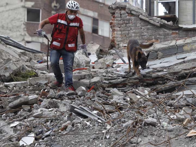 Chichi, el perro Saltillense localiza el cuerpo de Erick.