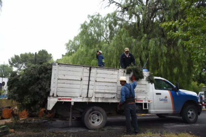 Trabaja Municipio en limpieza tras lluvias en Saltillo