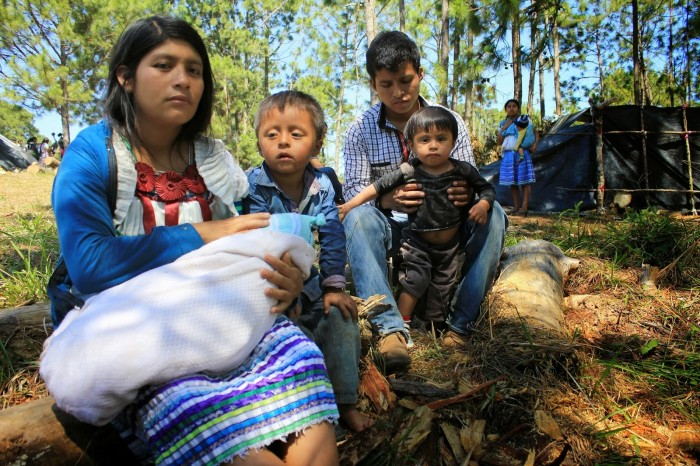 Seis de los 5.000 indígenas escondidos en las montañas de Chiapas, cuatro de ellos niños, mueren de hambre y frío