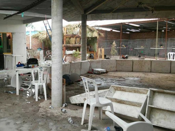 Deja 6 muertos ataque armado en palenque de Guanajuato