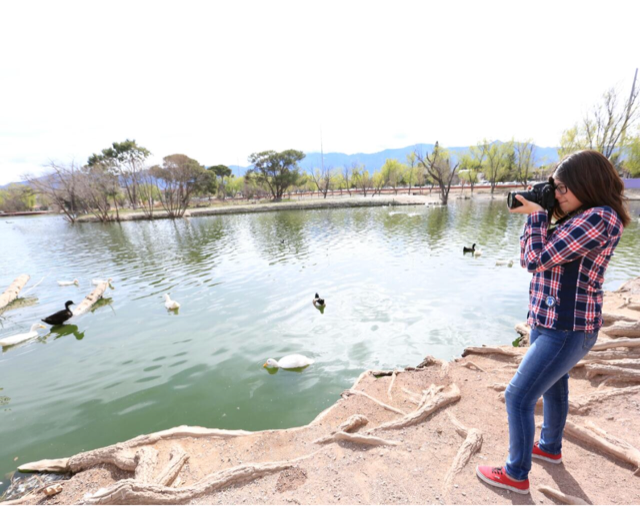 ABIERTA CONVOCATORIA DE FOTOGRAFÍA AMBIENTAL