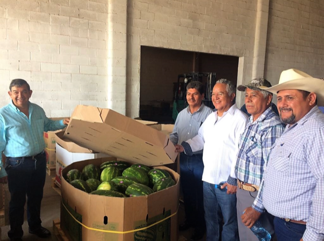 DESARROLLO RURAL SE REÚNE CON PRODUCTORES DE  MELÓN Y SANDÍA DE LA LAGUNA