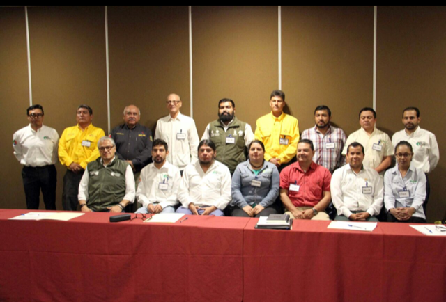 COAHUILA CERRÓ PRIMEROS CUATRO MESES DE 2018 CON 32 INCENDIOS FORESTALES