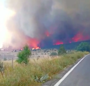 Incontrolable incendio en las Copetonas de Arteaga (VIDEO)