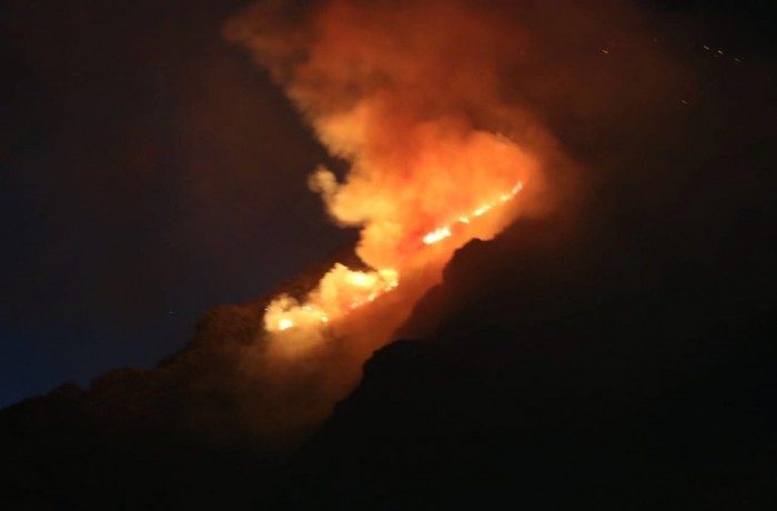 DESTINARÁ CONAFOR RECURSOS PARA RESTAURAR ÁREAS AFECTADAS POR INCENDIOS EN COAHUILA