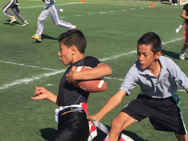 PREPARAN CURSO DE VERANO EN ESPACIOS DEPORTIVAS   DEL 16 AL 27 DE JULIO DE 2018.