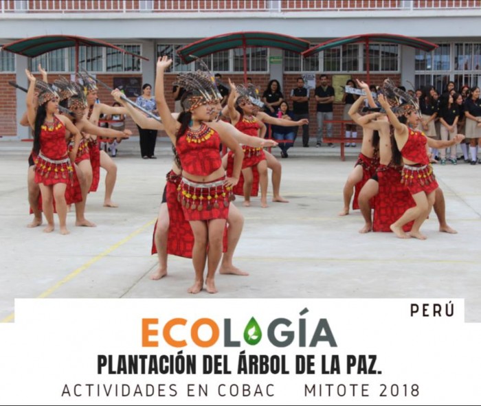 Delegaciones del "Festival de Folklor Latinoamericano" Siembran el Arbol de la Paz en Acuña Coahuila.