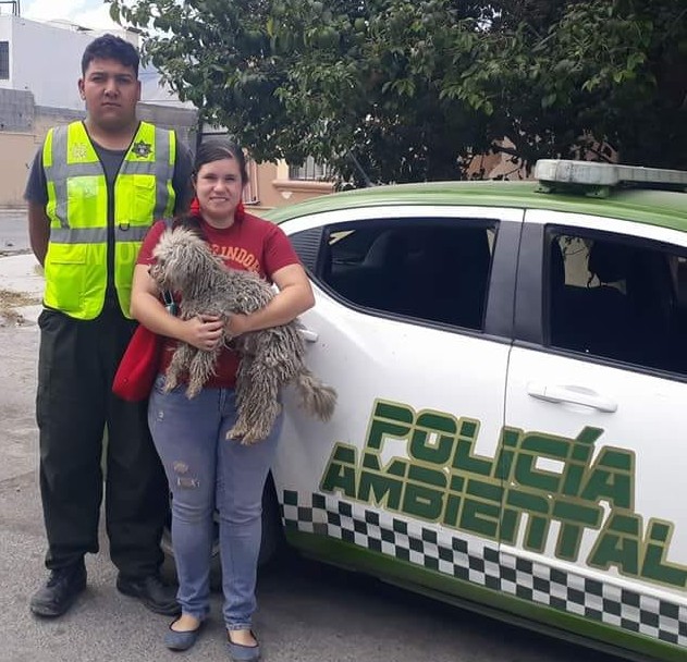 Prevengamos el maltrato animal