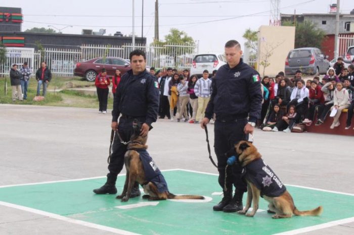 Genera proximidad social de policía vínculo de comunicación