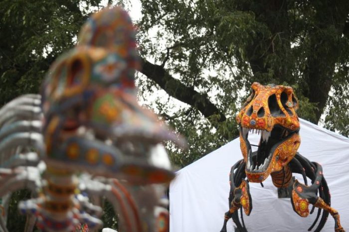 ¡Capta en imagen a los Titanes del Desierto y gana hasta 5 mil pesos!