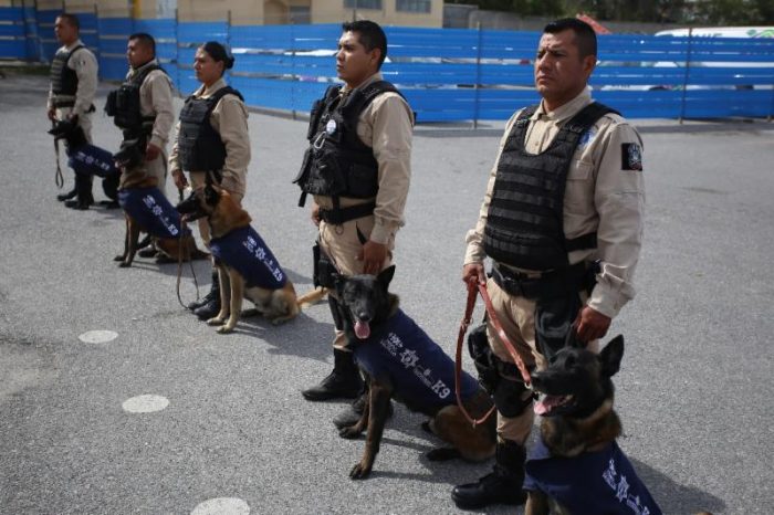 Suman binomios caninos más de 2 mil recorridos preventivos