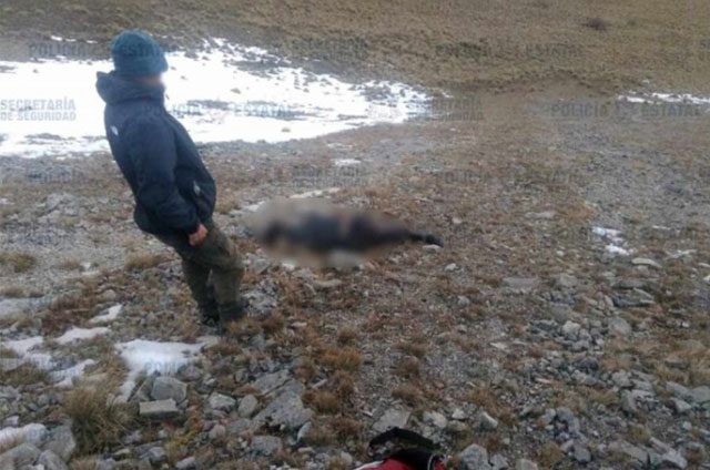 Encuentran a joven regio extraviado en el Nevado de Toluca.