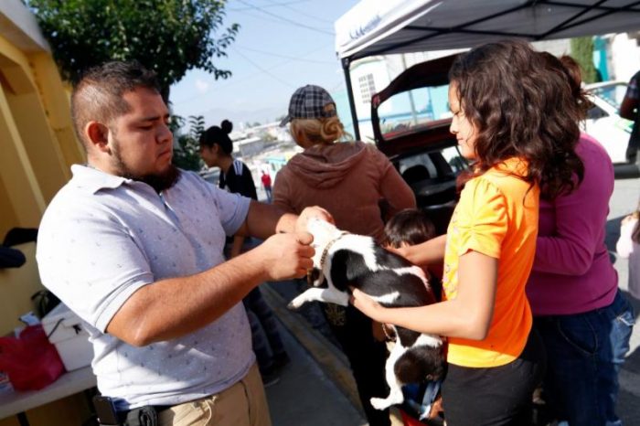 Atiende Municipio a mascotas con vacunación antirrábica