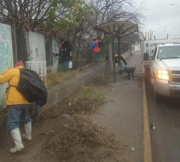 Por orden del alcalde Roberto de los Santos "Ecología de Acuña" trabaja en el embellecimiento de la ciudad