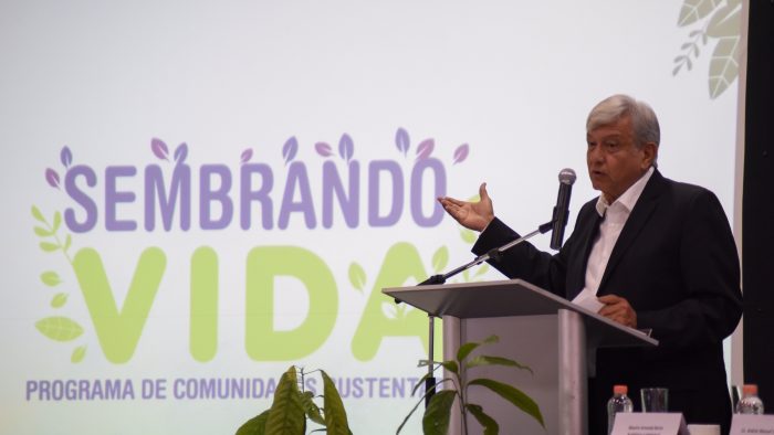Arranca hoy AMLO en Tabasco programa para recuperar el campo, 'Sembrando Vida'