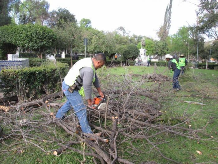 Realiza Municipio acciones de saneamiento en la Alameda