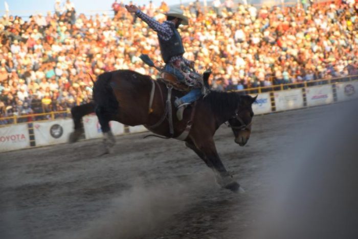 Inicia el Rodeo Saltillo Expo and Fest 2019