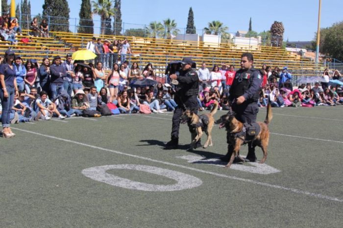 Realiza Unidad Canina demostración ante jóvenes