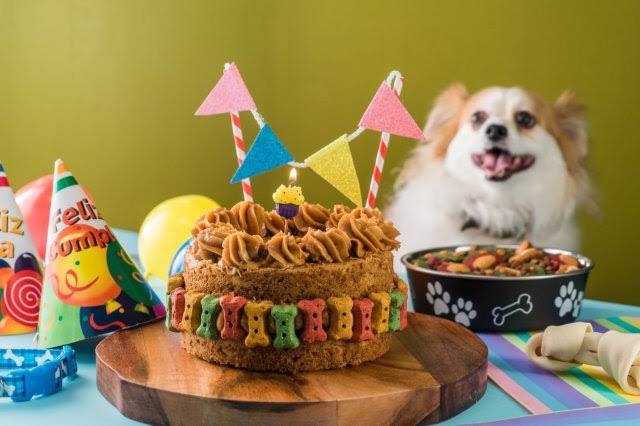 Pastel para Perros de Calabaza.