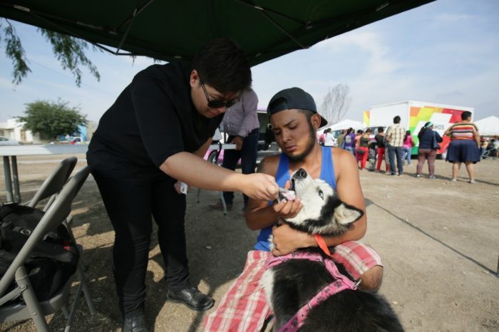 CAMPAÑA DE ESTERILIZACIÓN DE MASCOTAS