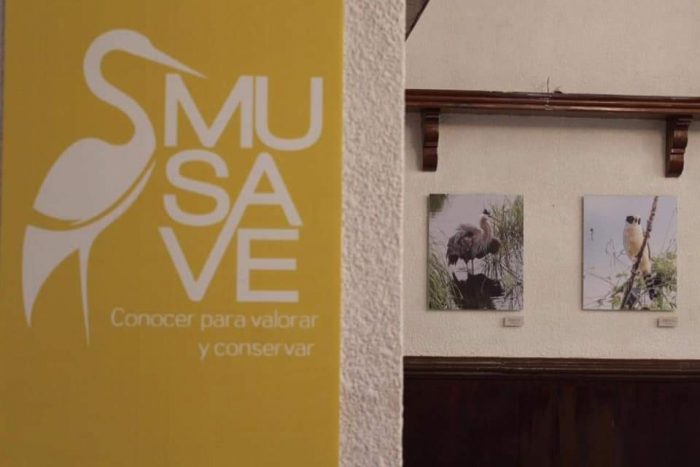 INVITA DIF RAMOS ARIZPE AL MUSAVE  