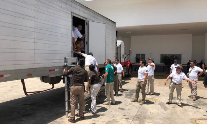 Detenidos en el sur de México cerca de 800 migrantes que viajaban en la zona de carga de cuatro camiones