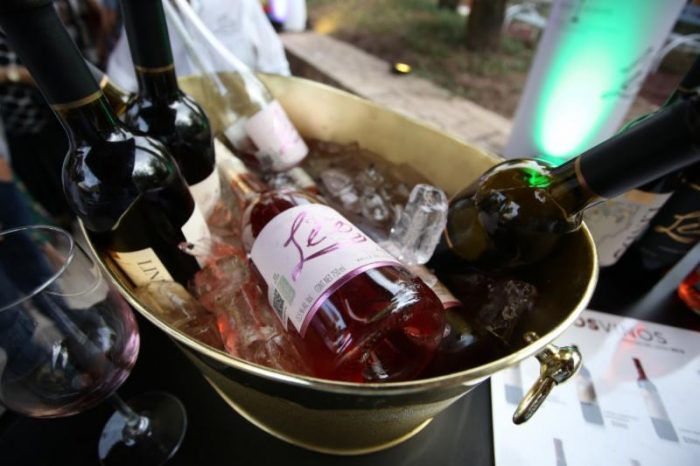 Productos de la ruta Vinos & Dinos de calidad internacional