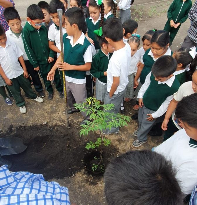 ¡SE PLANTAN MÁS DE 50 ÁRBOLES! EN RAMOS ARIZPE
