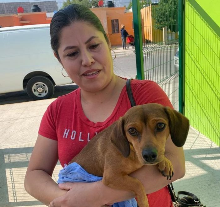 Trabaja Municipio de Saltillo en el cuidado y atención de las mascotas
