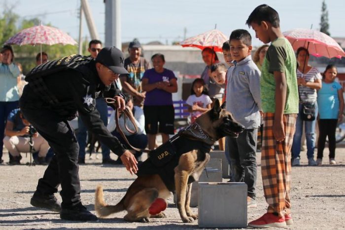 Promueve Municipio proximidad social con el K9