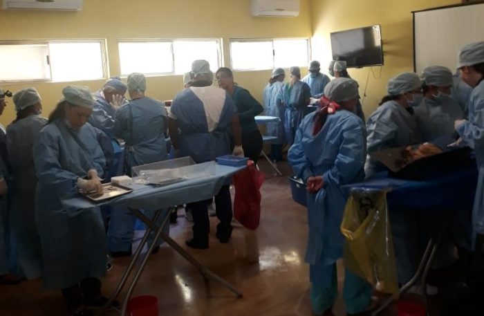 Ofrece municipio capacitación sobre esterilizaciones de mascotas