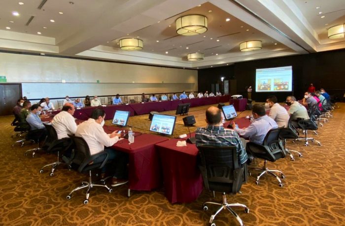 Acuerdos del Subcomité Técnico Regional Covid-19 Sureste