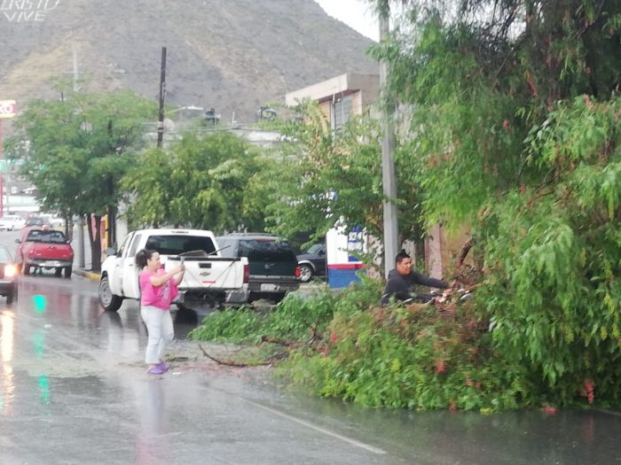 Por lluvias, atiende Municipio reportes de inundación y accidentes vehiculares