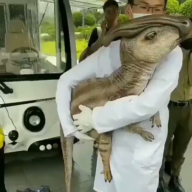 Viral: La realidad tras el vídeo del dinosaurio ''clonado'' en China