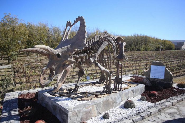Se consolida la ruta Vinos y Dinos 