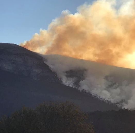 Al término de actividades, avance del control del incendio en la Sierra de Arteaga registra 15%