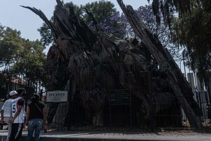 La noche triste de Hernán Cortés es ahora victoriosa