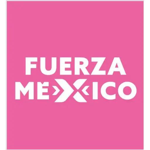 Fuerza por México: Excandidatas denuncian fraude en gastos de campaña