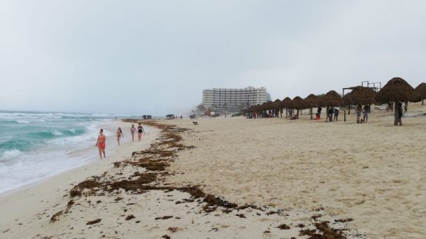 Temor en Cancún por llegada  de sargazo