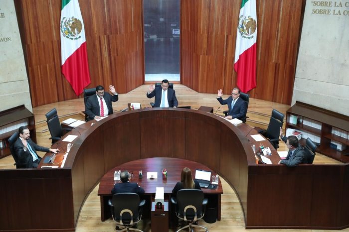 Tribunal Electoral anula 3 diputaciones federales a Morena en 3 estados
