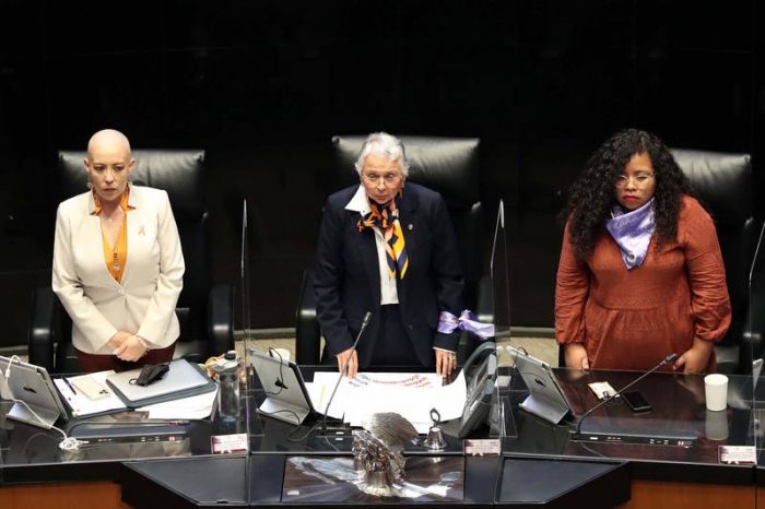 Contra el decretazo: Oposición en el Senado pide controversia constitucional