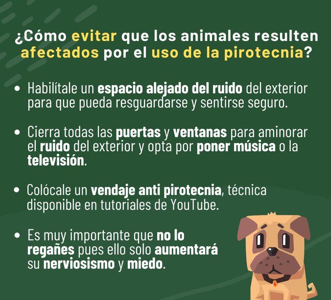 Este fin de año cuida a tus mascotas de los juegos pirotécnicos