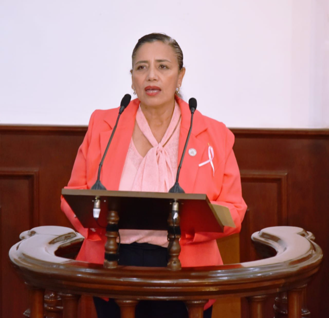 Presenta punto de acuerdo diputada Teresa Meraz para que se implementen medidas de seguridad en  carretera Torreón-Matamoros