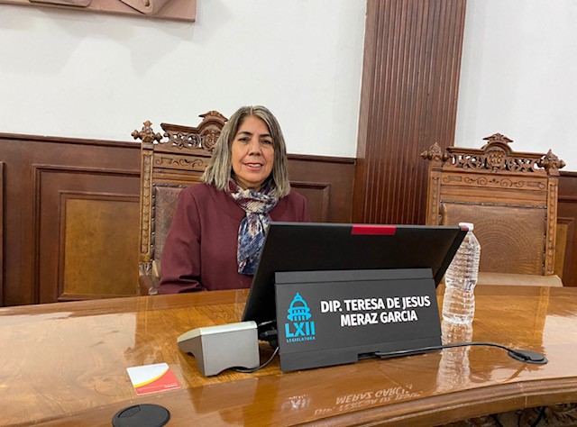 Se deben respetar los Derechos Humanos de la población vulnerable en los Albergues” Diputada Teresa Meraz. 