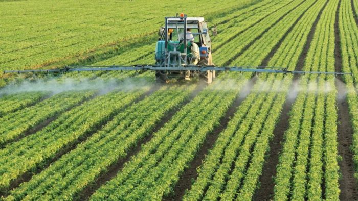 El trigo y los fertilizantes importados a México podrían presentar desabasto por invasión de Rusia a Ucrania: GCMA