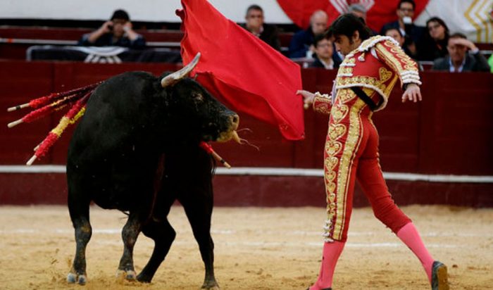 SCJN invalidó que las corridas de toros y peleas de gallos sean Patrimonio Cultural, pero no las prohibió