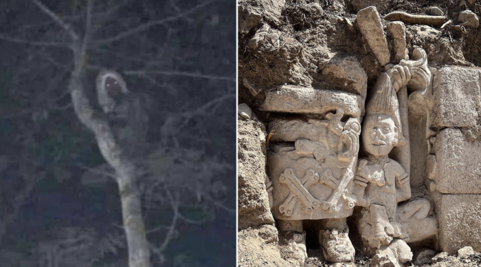 López Obrador comparte la foto de una supuesta criatura mítica en las obras del Tren Maya